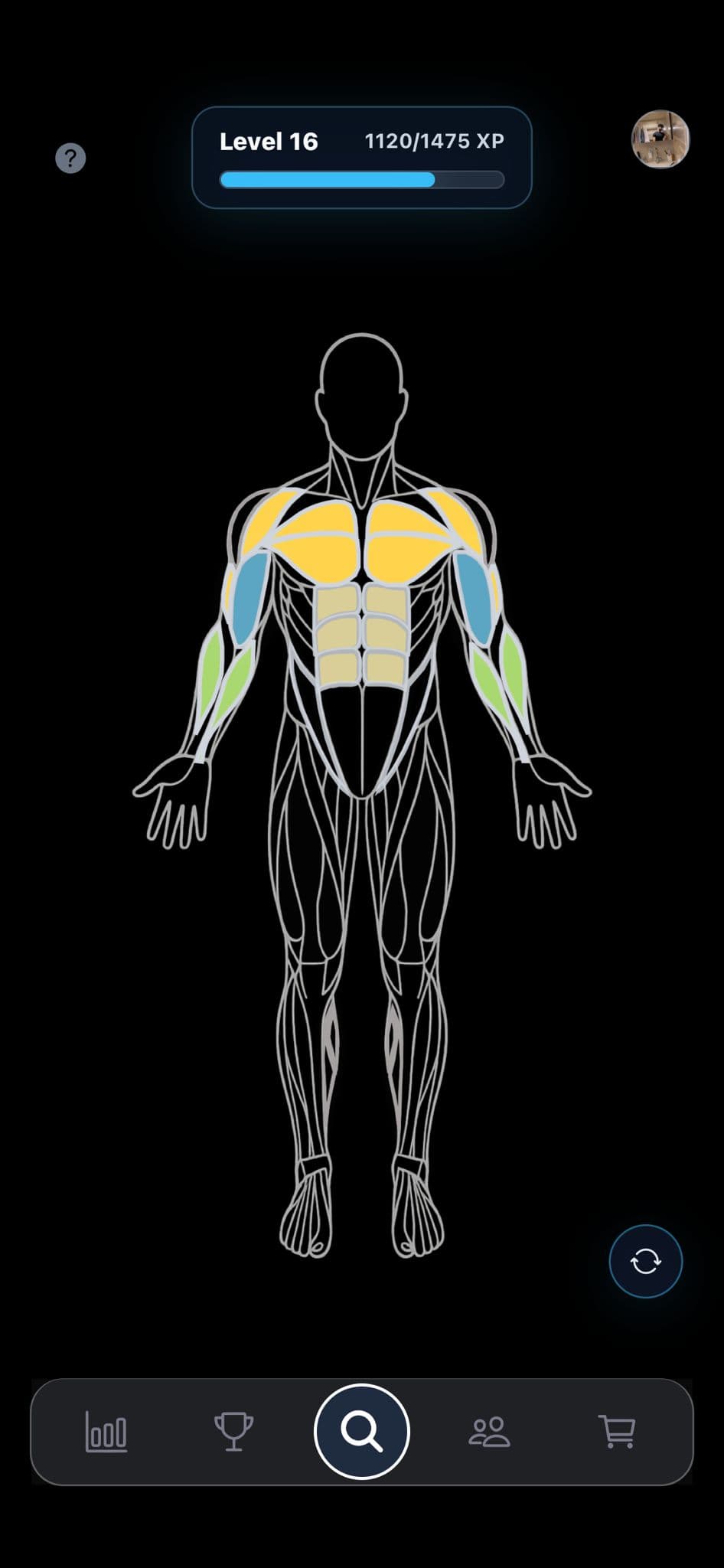 Live Muscle Map screenshot from the MyMuscle app